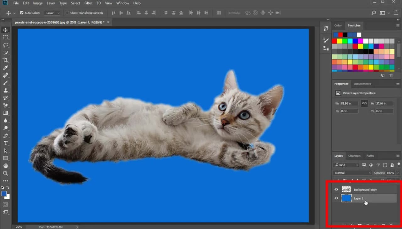 Jak zmienić kolor tła w Photoshopie - proste metody krok po kroku