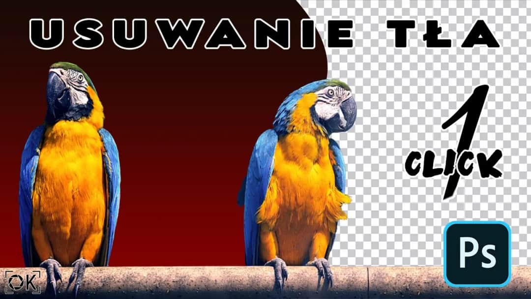 Jak usunąć białe tło w Photoshopie - proste metody krok po kroku