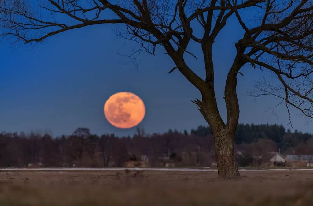 Jak zrobić zdjęcie Księżyca: proste triki na udane ujęcia